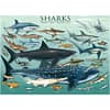 Sharks Puzzel
