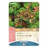 ImperialSettlers Amazones bordspel