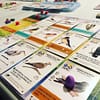 Wingspan europa uitbreiding bordspel