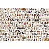 World of cats dogs