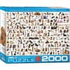World of cats dogs