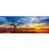 DesertOakatSunset puzzel