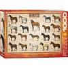 Horses Puzzel