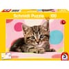 CuteKitten puzzel