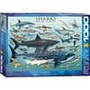 Sharks Puzzel