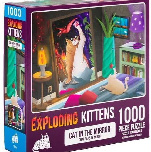cat mirror puzzel  stukjes